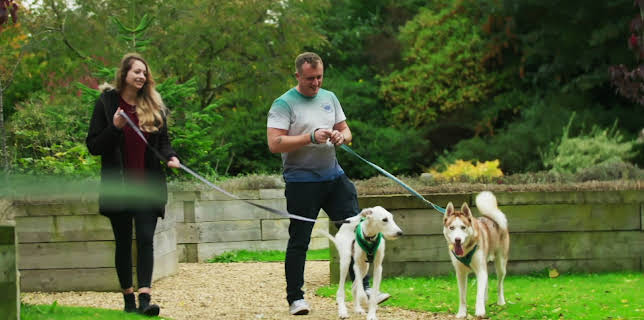 16:20: Hundehuset: Peaches | NRK 2 | 2/27 2026