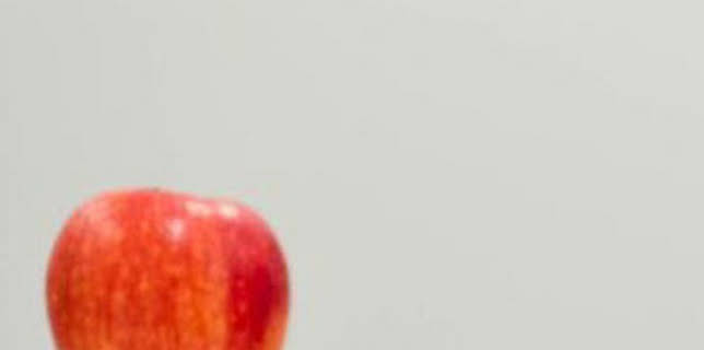 20:00: Cazadores de setas: Torrecilla del Rebollar | Aragón TV Int | 12/13 2025