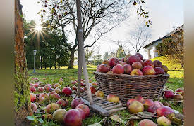 The Secret Garden: Harvest Time