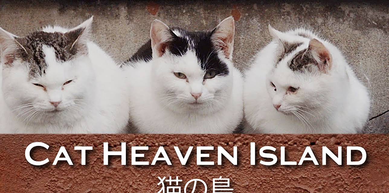 Cat Heaven Island