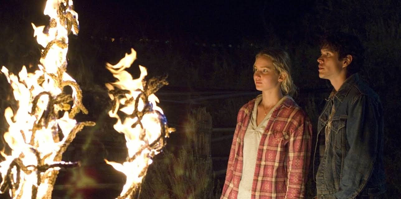 The Burning Plain (2009)