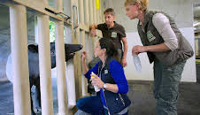 Tierärztin Dr. Mertens (53)