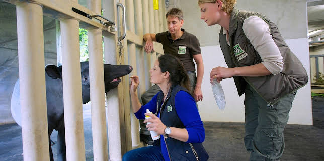 10:20: Tierärztin Dr. Mertens (53) | MDR Fernsehen | 11/15 2025