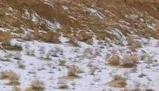 Ingeniería abandonada: Episodio 1