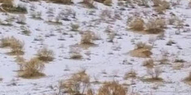 06:00: Ingeniería abandonada: Episodio 1 | Discovery Max | 1/8 2026