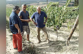 The Wine Guys: I Can Taste the Cow