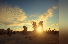 Finally Caught S1: Barsock