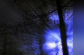 Chasing Conspiracies Season 1: The Alien Files