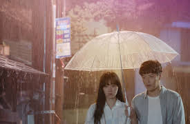 When the Camellia Blooms: Episode 5