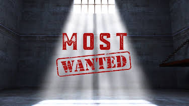 03:35: Most Wanted | ProSieben | 10/14 2026