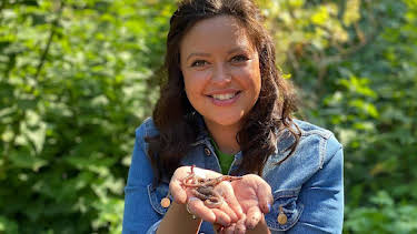 11:30 AM: Teeny Tiny Creatures (S1) | Cbeebies | 6/17 2026