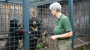 07:00: Panda, Gorilla & Co. (3) | RBB Fernsehen | 4/25 2026