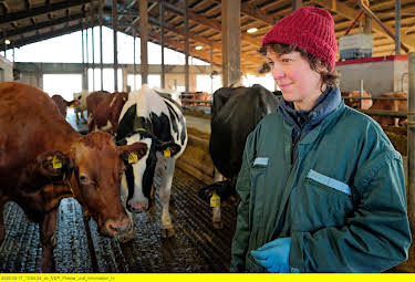 02:40: Die Nordreportage: Wenn Kühe Hilfe brauchen | 3SAT | 5/1 2026