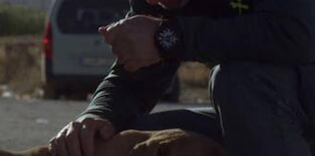 19:43: Seprona en acción: Episodio 13 | Discovery Max | 1/17 2026