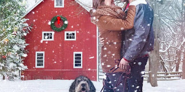 22:00: A Furry Little Christmas (IMDb 5.6) | TV6 | 11/11 2025