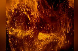 How the Earth Changed History: The Gift of Fire