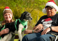 New: The Dog House at Christmas