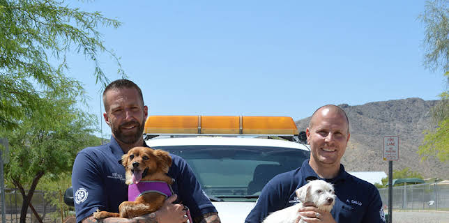 Animal Cops: Phoenix