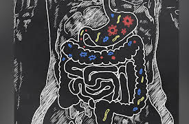Changing Body Composition through Diet and Exercise: How Food Is Digested and Absorbed