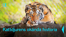 Kattdjurens okända historia