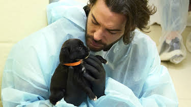 4:00 PM: Pete Wicks: For Dogs' Sake (S3 E3) (S3) | W | 4/6 2026