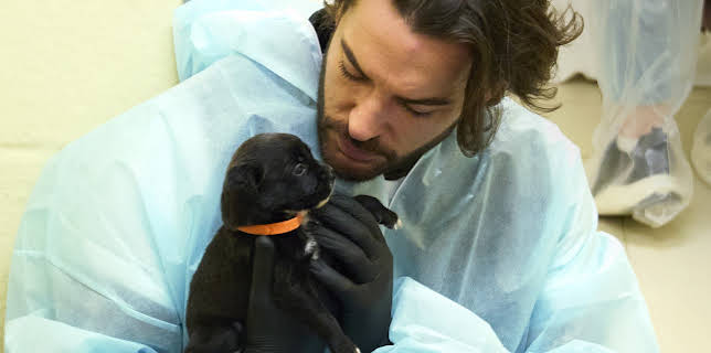 7:00 PM: Pete Wicks: For Dogs' Sake (S3 E3) (S3) | W | 2/25 2026