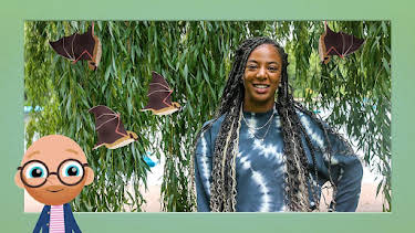 11:35 AM: Teeny Tiny Creatures (S2) | Cbeebies | 7/1 2026