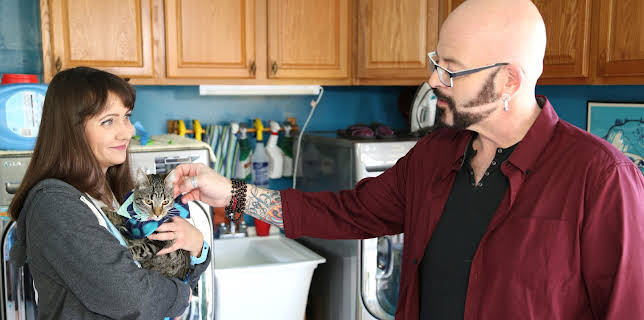 16:00: My Cat From Hell (S8 E7) (S8) | Animal Planet | 11/27 2025