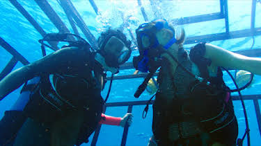 00:00: 47 Meters Down | RTL 2 | 8/15 2026