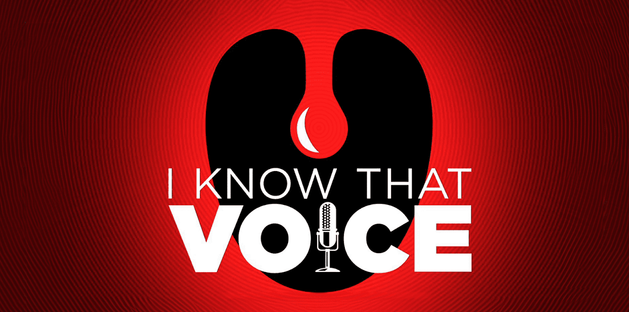 I Know That Voice (2013)