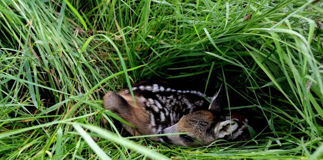 07:10: Hofgeschichten - Ackern zwischen Alpen und Ostsee (4) | NDR Fernsehen | 1/25 2026