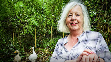 10:00 AM: The Yorkshire Vet (S10 E8) (S10) | 5 Select | 2/11 2026