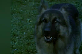 Huckleberry Finn and His Friends: Meet The Grangerfords