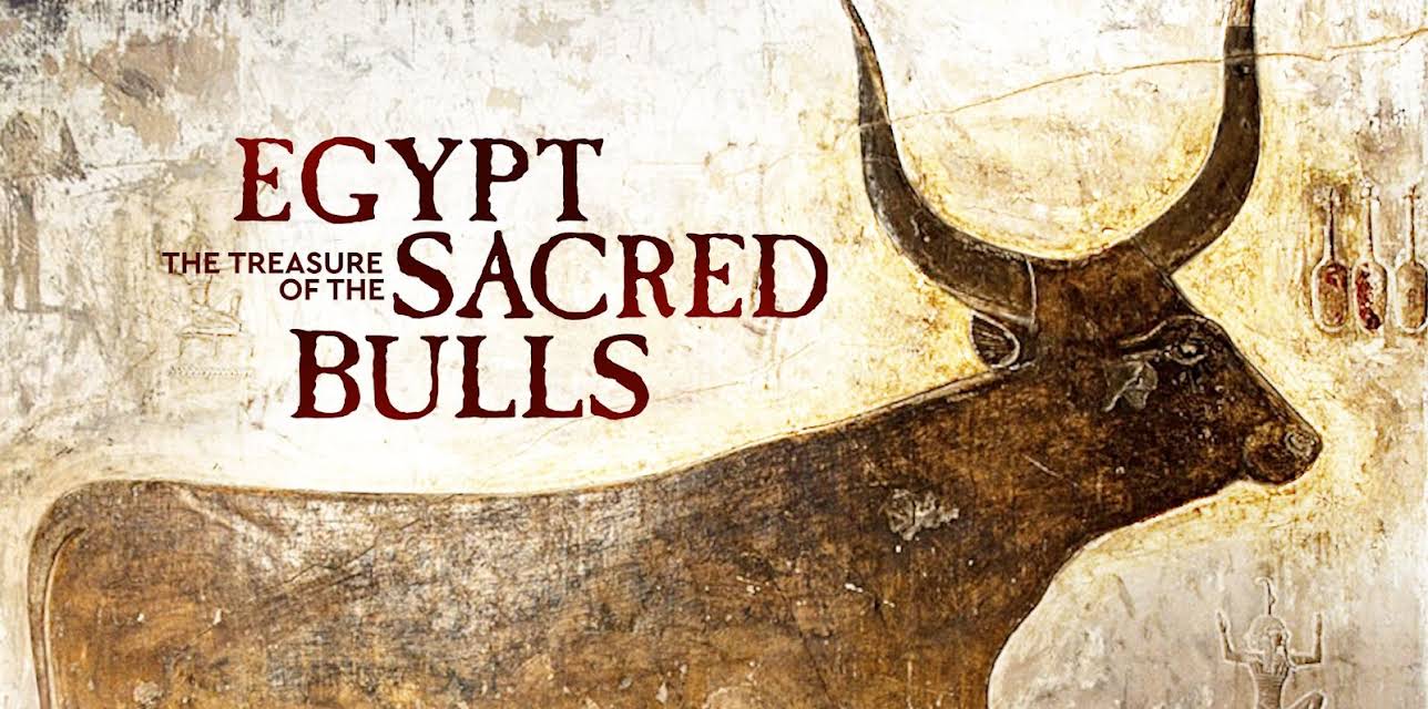 Egypt The Treasure of the Sacred Bulls (2026)