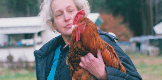 For the Birds (2019)