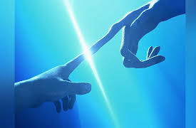 Life 2.0: Making Contact