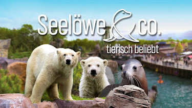 13:00: Seelöwe & Co - tierisch beliebt | WDR Fernsehen | 5/28 2026