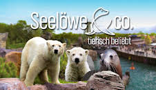 Seelöwe & Co. - tierisch beliebt