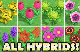 Animal Crossing New Horizons Tips and Tricks by Abdallah Smash: ALL HYBRID FLOWERS and How To Grow Them! |Animal Crossing New Horizons: Tips and Tricks