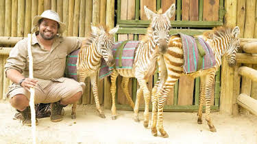 12:20 PM: Hamza Loves Animals: Africa (S1) | Cbeebies | 6/28 2026