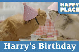 Happy Place: Harry's Birthday
