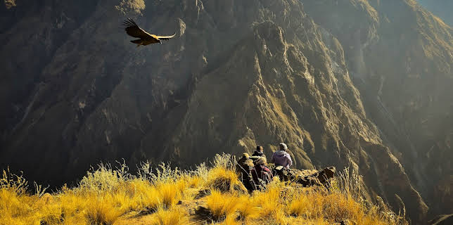 10:20: Oasen - Inseln des Lebens | Arte | 2/20 2026