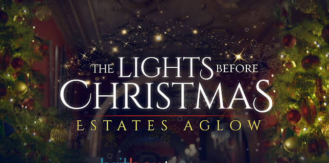 The Lights Before Christmas