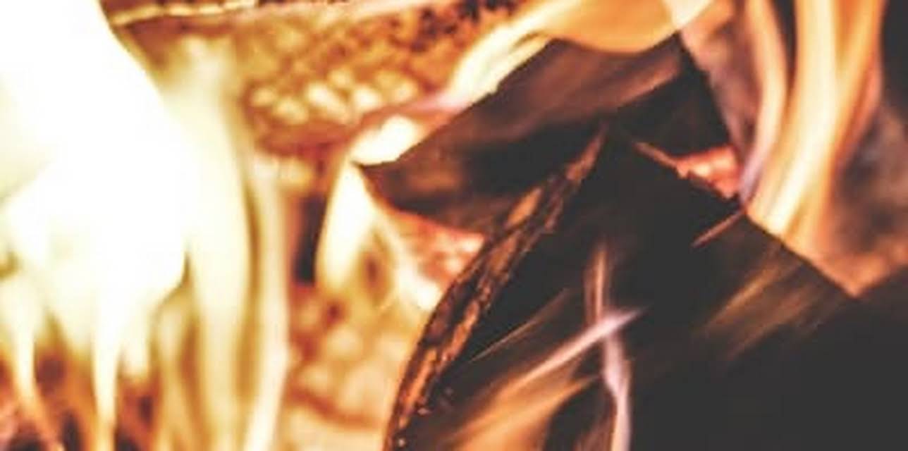 Zen Vision: Flames (2009)