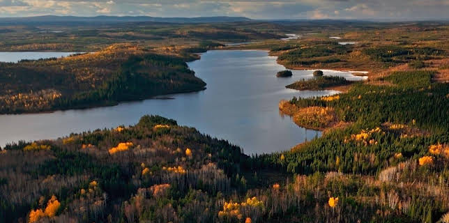 16:41: Naturerbe Kanada | Arte | 11/17 2025