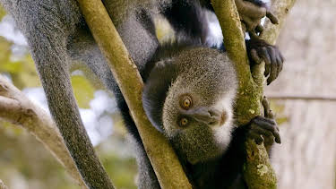 22:00: Länder - Menschen - Abenteuer | Radio Bremen | 2/26 2026