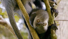 Länder - Menschen - Abenteuer