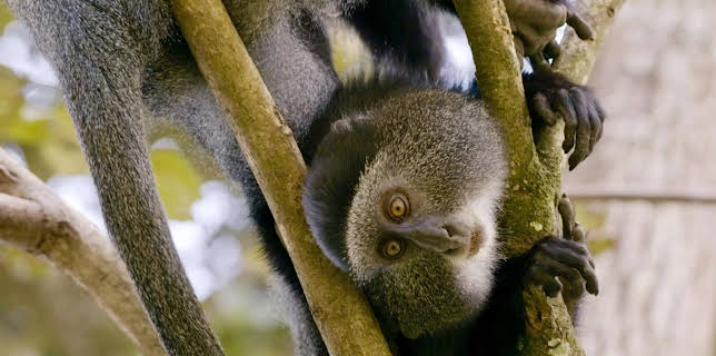 11:45: Länder - Menschen - Abenteuer | Radio Bremen | 3/1 2026