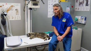 2:00 PM: Dr. Jeff: Rocky Mountain Vet (S7) | Discovery Channel | 9/9 2026