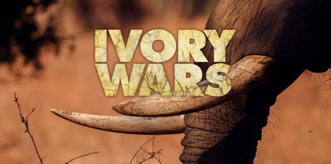 Ivory Wars Season 1